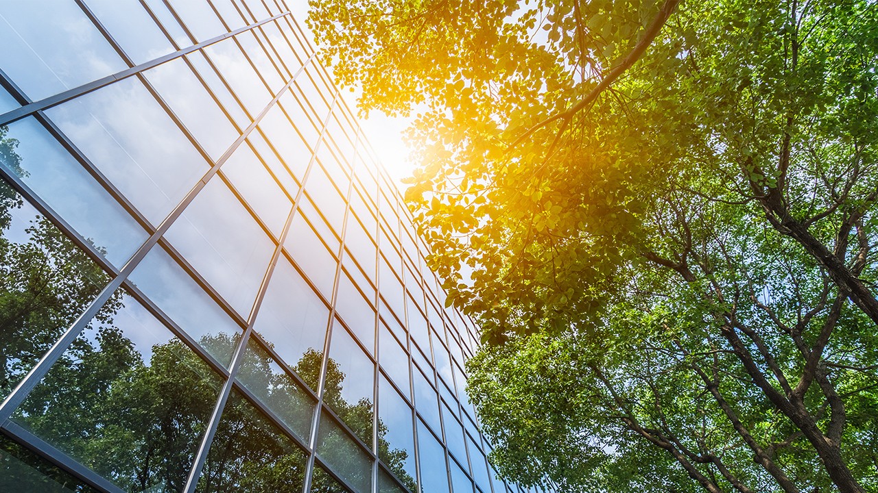 Odbicie oblanego promieniami słońca drzewa na szklanym budynku